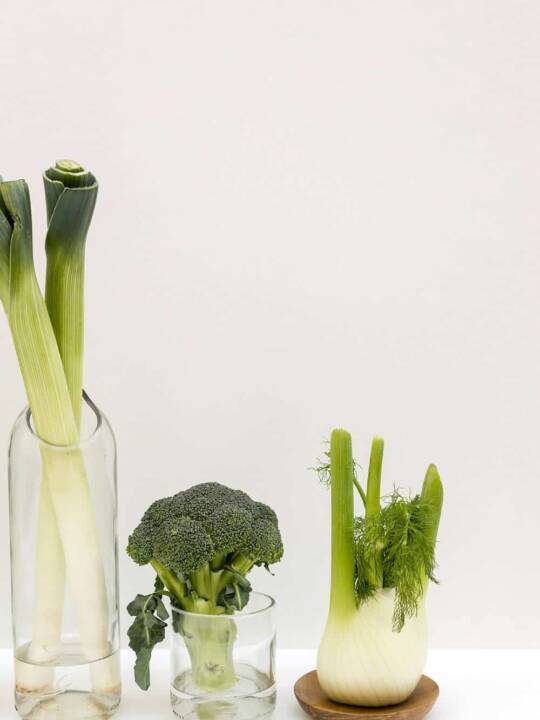 Eco-design-trends-2023-Green-Up-01